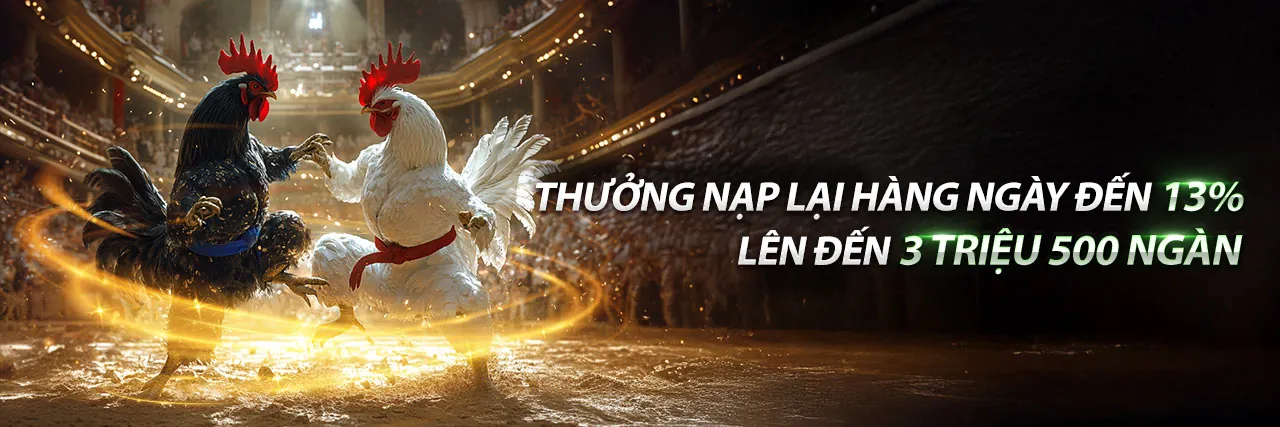 Đá Gà Trực Tiếp Khomo - V7BET